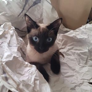 Meet your Posher, Bethany